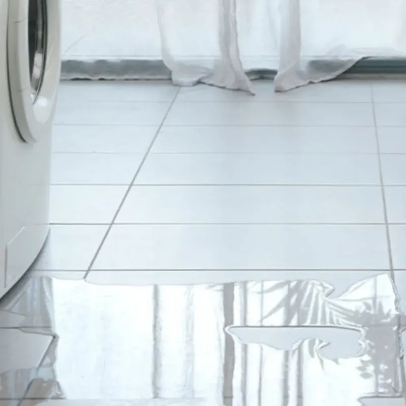 Appliance Leak Cleanup in Kilauea, HI
