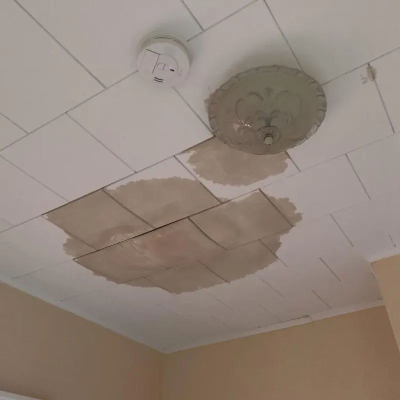 Ceiling Water Damage Repair in Kilauea, HI